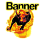 Аккумуляторы BANNER